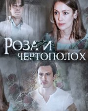 Роза и чертополохa (, 2018)