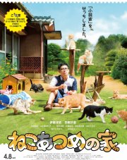 Дом кошек (, 2017)