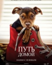 Путь домой (, 2019)