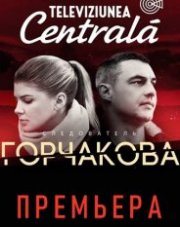 Следователь Горчакова (, 2019)