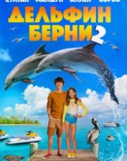 Дельфин Берни 2 (, 2019)