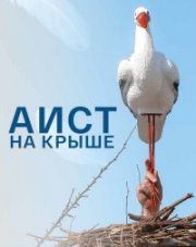 Аист на крыше (, 2021)